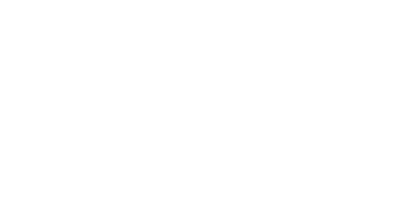 Nomv Not One More Vet Logo White