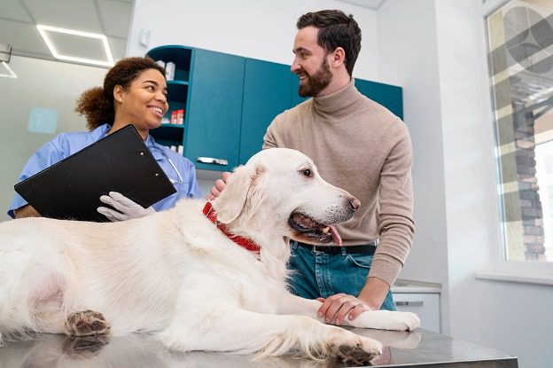female staff having conversation with male client holding golden retriever